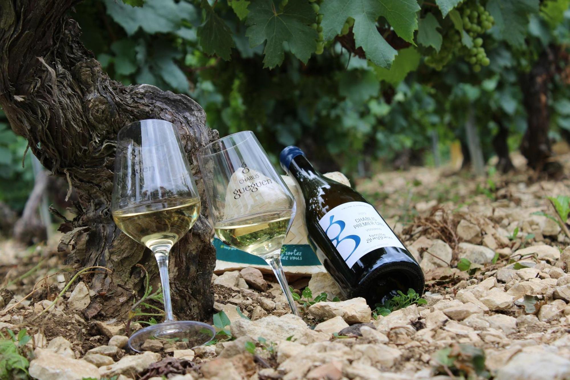 Les Suites Gueguen Chablis Buitenkant foto
