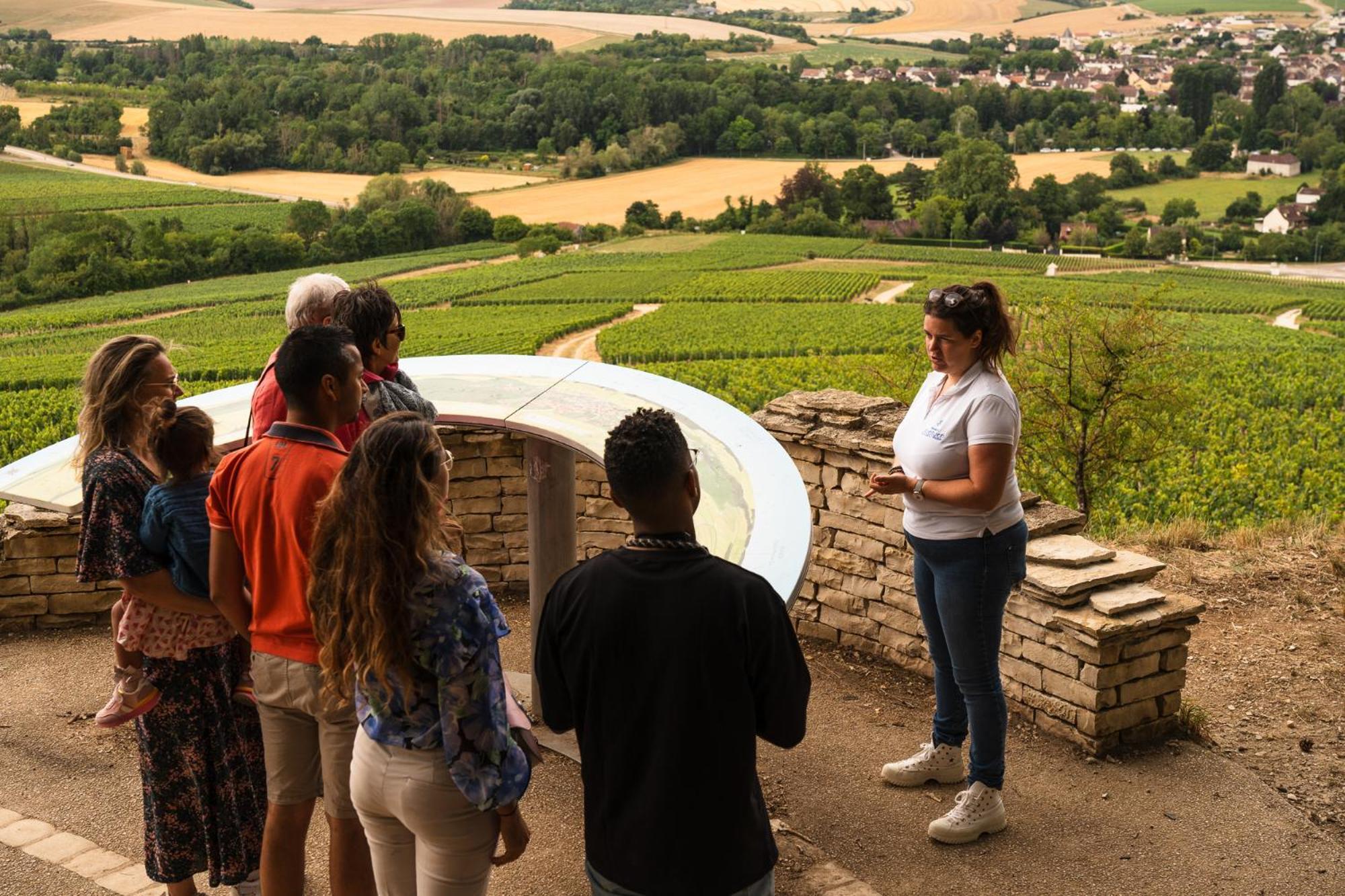 Les Suites Gueguen Chablis Buitenkant foto